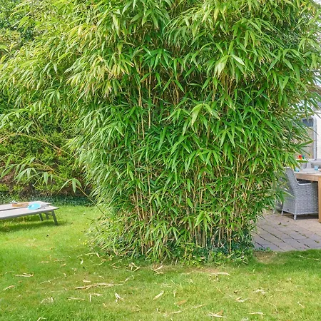 Strandvilla Roots-3